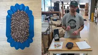 Costa Rica San Isidro Honey Processed - Medium Roast - Direct Source
