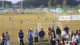 2014대전P&S 25.11.2 부여대회 청추SFC 후반