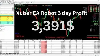 Forex Auto Trading Robot MT4 | Best Currency Pairs for Profitable Trading 2025