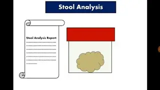 Stool Analysis 1 Overview مقدمة