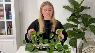 Mkono Plant Terrarium with Wooden Stand Wall Hanging or Desktop From Amazon: Mom's Review