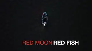 RED MOON AND RED SNAPPER IN WESTERN PORT BAY