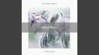 Experience Unique Sleep with Unique Nature Music for Naps pt. 2