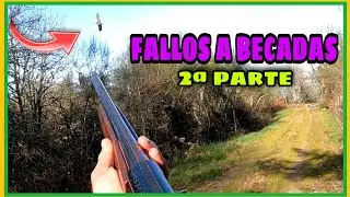 FALLOS A BECADAS 🪶 2022 2&ordf; PARTE