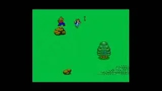 The Ninja (Master System)