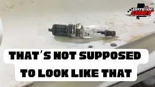 We were pulling the motor out of the car and found our issue! 