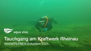Tauchgang am Kraftwerk Rheinau - Alte Zollbr&uuml;cke
