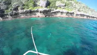 Green jobfish fishing in timor leste