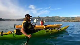 Akaroa Sunrise Wildlife Sea Kayak Adventure