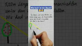 TANGENS  - Sachaufgabe 🤓🌳 #mathe #tangens #textaufgabe #baumh&ouml;he #mathematikfee #shorts