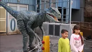 Raptor Encounter - Blue & Beta | Jurassic World - Universal Studios Hollywood