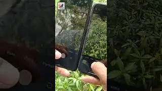Сравнительный тест камер Mi 11 lite 5G NE и iPhone 11 2022 года #шорты