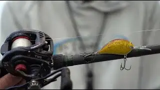 Sunny B Crankbait Tips & Strategies