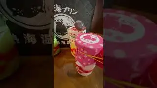 ATAMI Purin