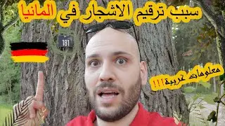 🇩🇪سبب ترقيم الاشجار في المانيا||معلومات غريبة🇩🇪