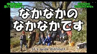 なかなかのなかなかです　明日香の森でおもいっきり遊ぼう！＃明日香村　＃明日香　＃asuka　#活動　＃おもしろ　＃武蔵坊弁慶　＃弁慶　＃長のこぎり　＃伐採　＃倒木