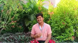 Student experience at KSAA