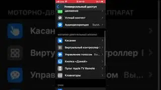 КАК НА iPhone С iOS 13.4.1 ВКЛЮЧИТЬ &laquo;Виртуальный контроллер&raquo;???