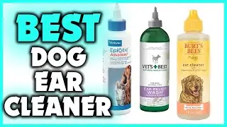 5 Best Dog Ear Cleaner
