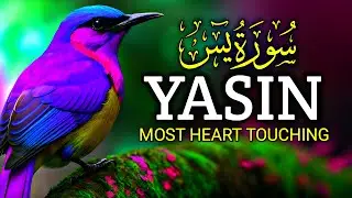 Crying Recitation: Surah Yasin (Yaseen) | For Difficulties & Hardships | Zain Abu Kautsar