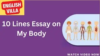 10 Lines Essay on My Body in English || My Body 10 lines || My Body Essay in English ||