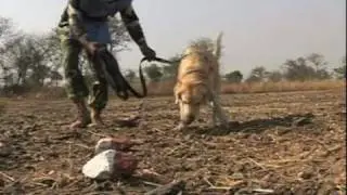 UN hails entry into force of global pact banning cluster munitions