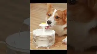 Cat Water Fountain Filter USB Electric  #dog #smartphone #dog #pets #water #petlover #waterfountain
