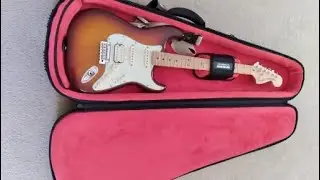 Gator Cases ICON Series Premium Weather Resistant Gig Bag for Electric Guitars Review, Serious prote
