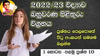 |sampath sir|ol Science|2022 ol science  answers|2022 විද්‍යාව ප්‍රශ්න පත්‍රයේ පිළිතුරු |2023|2022|