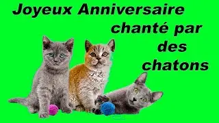 Joyeux Anniversaire chant&eacute; par des chats