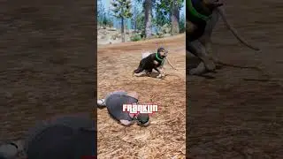Will Chop Save Franklin From a Cougar in GTA V?
