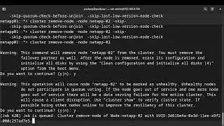 NetApp: Unjoin or remove a node from the NetApp cluster