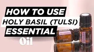 Tulsi Oil Otherwise Known as Holy Basil Essential Oil