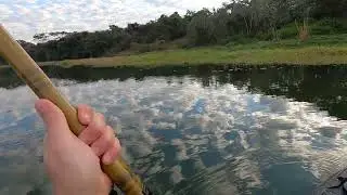 Escapou sem dar as caras