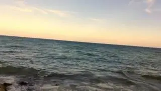 LAKESHORE MEDIA observation - Zoha Rahman
