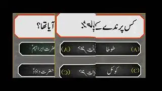 Islamicvideo #swal ke duniya 