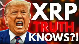 MR POOL &mdash; лидер всех продаж! Дэвид Шварц предупреждает о XRP завтра &mdash; Трамп уже в курсе?! 😱