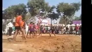 Pushkar Animal Fair, 2015