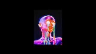[FREE] Josman x YG Pablo Type Beat 