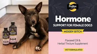 Moody Bitch - Proflax Flaxseed Oil & Herbal Tincture Blends for Dogs