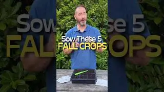 5 Fall Crops You Can Still Sow RIGHT NOW #shorts #fall #vegetables