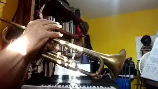 BUENOS DÍAS!!!! Lunes 19-01-2026 (6to mes de práctica autodidacta) 