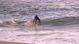 slotstik skimboards wing fish
