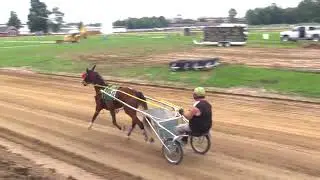 Cuyahoga County Fair: Bob 'Railbird' Roberts helps handicap harness races