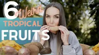 6 Weird Tropical Fruits (what are the health benefits?!)