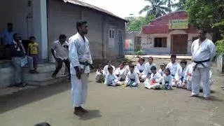 Wado kata niseishi by sensei donald tyson.(wado kai chife in india)