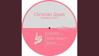 Analog Culture