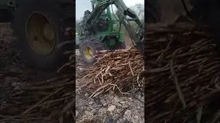 así se carga la caña de azúcar Zafra #2024