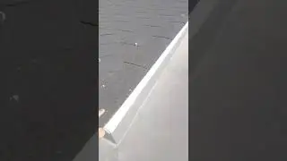 pembersihan atap bituman villa