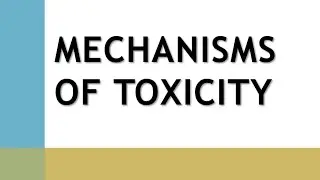 mechanism of toxicity
